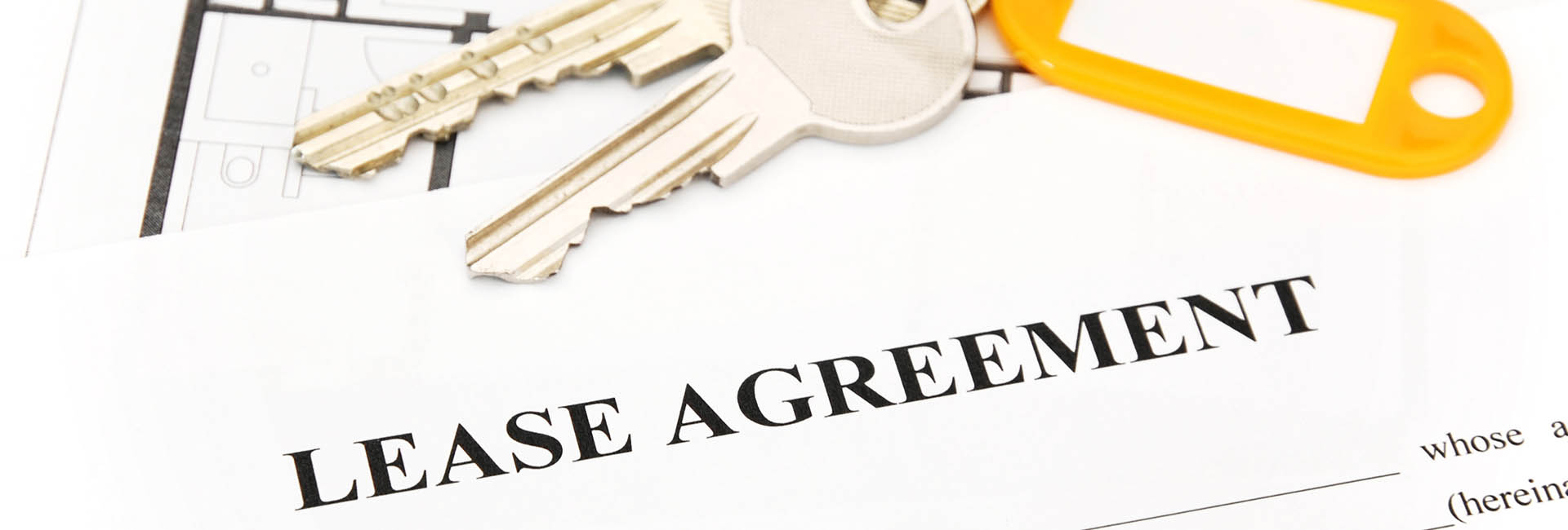 Lease/Purchase Agreement Consulting